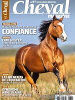 Cheval Magazine